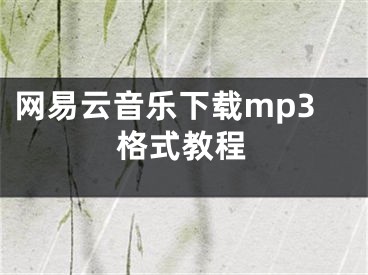 網(wǎng)易云音樂(lè)下載mp3格式教程