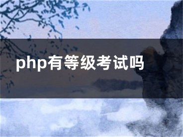 php有等級(jí)考試嗎