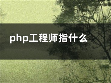 php工程師指什么