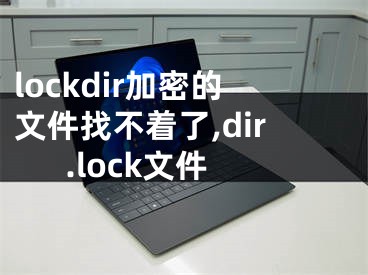 lockdir加密的文件找不著了,dir.lock文件