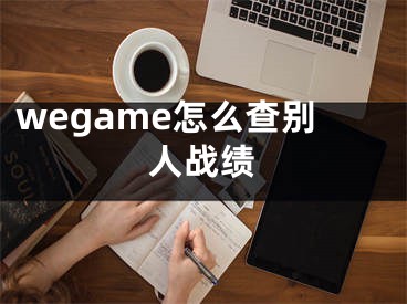 wegame怎么查別人戰(zhàn)績