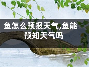 魚怎么預(yù)報(bào)天氣,魚能預(yù)知天氣嗎