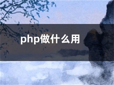 php做什么用