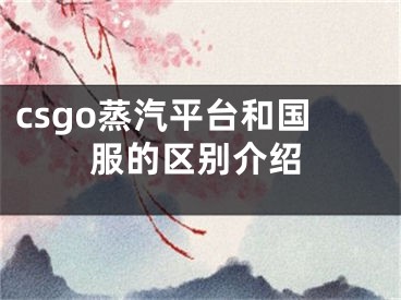 csgo蒸汽平臺和國服的區(qū)別介紹