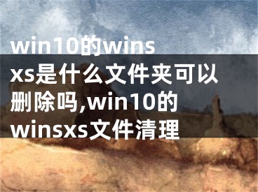 win10的winsxs是什么文件夾可以刪除嗎,win10的winsxs文件清理