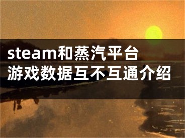 steam和蒸汽平臺游戲數(shù)據(jù)互不互通介紹