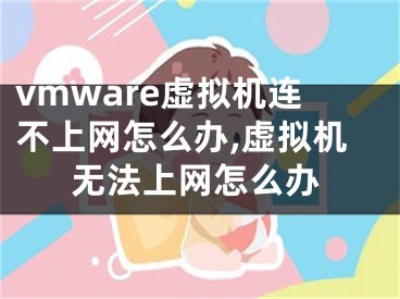 vmware虛擬機(jī)連不上網(wǎng)怎么辦,虛擬機(jī)無法上網(wǎng)怎么辦