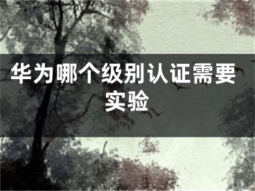 華為哪個(gè)級(jí)別認(rèn)證需要實(shí)驗(yàn)