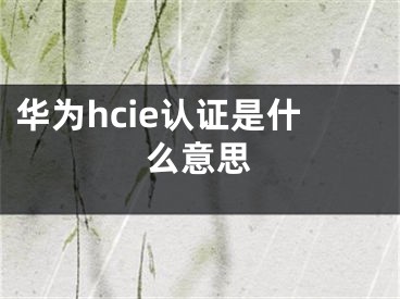 華為hcie認證是什么意思