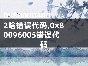 0x800004002啥錯誤代碼,0x80096005錯誤代碼