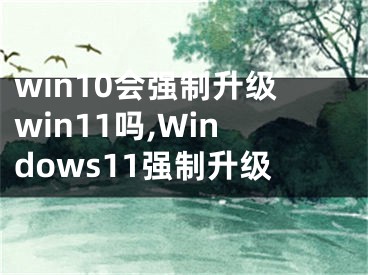 win10會強(qiáng)制升級win11嗎,Windows11強(qiáng)制升級