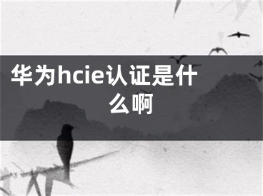 華為hcie認(rèn)證是什么啊